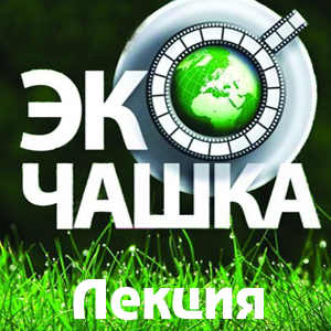эко чашка